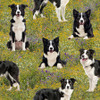 Merino Muster III Border Collie Dogs 5039/05 Cotton Quilting Fabric