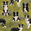 Merino Muster III Border Collie Dogs 5039/05 Cotton Quilting Fabric