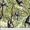 African Safari Chimpanzee Jungle 0223O Cotton Quilting Fabric