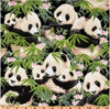 Panda Bears and Babies Black 1230E-BLK Cotton Quilting Fabric