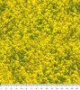 Farm Machines II Canola Crop Allover 1093N Cotton Fabric