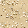 Sea Shells Beach Sand Landscape Medley Collection