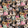 Best Friends Dogs Chihuahuas 707E-MULTI Cotton Quilting Fabric