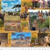 Savannah Trails African Animals Mixed Collage 5021-11 Cotton Quilting Fabric