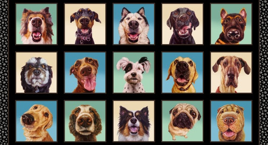 Follow Your Nose Dog Faces Black 41002E-BLACK 24 inch Cotton Quilting Fabric Block Panel Follow Your Nose Dog Faces Black 41002E-BLACK 24 inch Cotton Quilting Fabric Block Panel