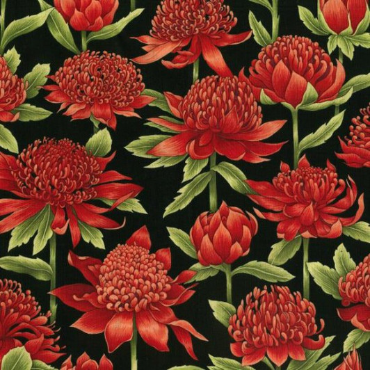 Australian Waratah Floral Blossom Black Background Cotton Quilting Fabric 1/2 YARD Australian Waratah Floral Blossom Black Background Cotton Quilting Fabric 1/2 YARD