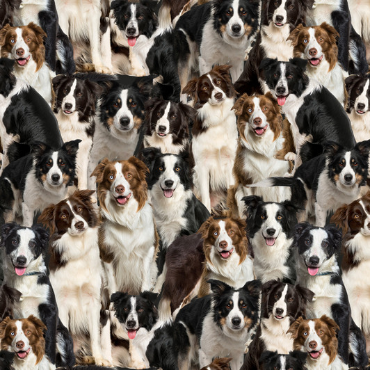 Merino Muster II Border Collie Dogs 3094G Cotton Quilting Fabric Merino Muster II Border Collie Dogs 3094G Cotton Quilting Fabric