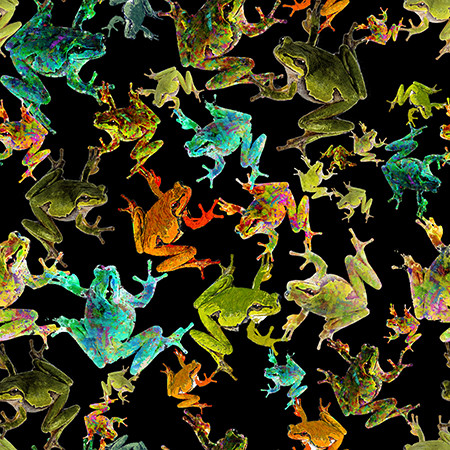 Fabulously Froggy Frog Stretch Black 4065K Cotton Quilting Fabric