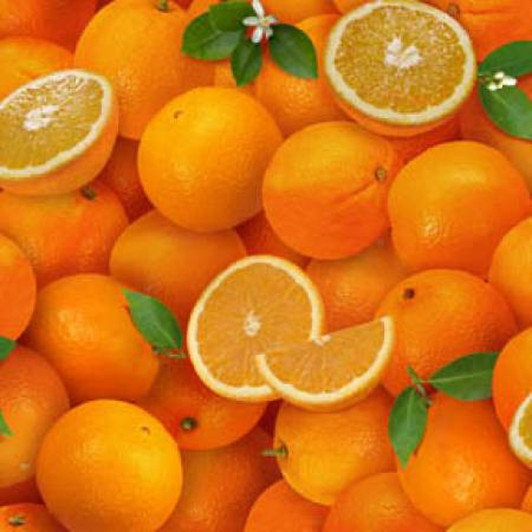 Food Festival Oranges Green Leaves Fruit 261E-ORG Cotton Quilting Fabric Food Festival Oranges Green Leaves Fruit 261E-ORG Cotton Quilting Fabric