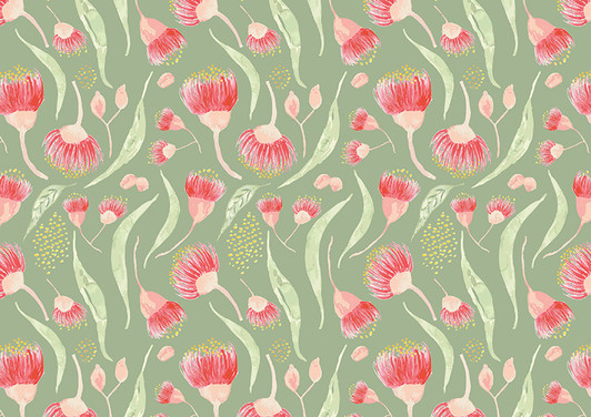 Australian Gum Tree Leaf and Blossom Green Background Australian Gum Tree Leaf and Blossom Green Background