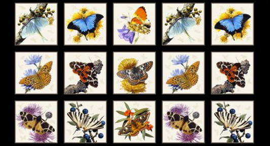 Butterflies and Moths Black Cotton Quilting Fabric Panel Butterflies and Moths Black Cotton Quilting Fabric Panel
