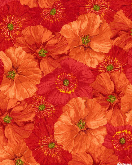 Poppy Garden Poppy Collage Endless Petals Cotton Quilting Fabric 1/2 YARD Poppy Garden Poppy Collage Endless Petals Cotton Quilting Fabric 1/2 YARD