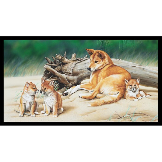 Australian Wildlife Art 4 Dingoes Cotton Quilting Fabric Panel Australian Wildlife Art 4 Dingoes Cotton Quilting Fabric Panel