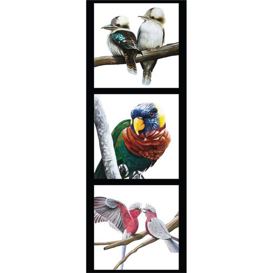 Australian Wildlife Kookaburra Rosella Galah Chris Riley Cotton Quilting Fabric Small Panel Australian Wildlife Kookaburra Rosella Galah Chris Riley Cotton Quilting Fabric Small Panel