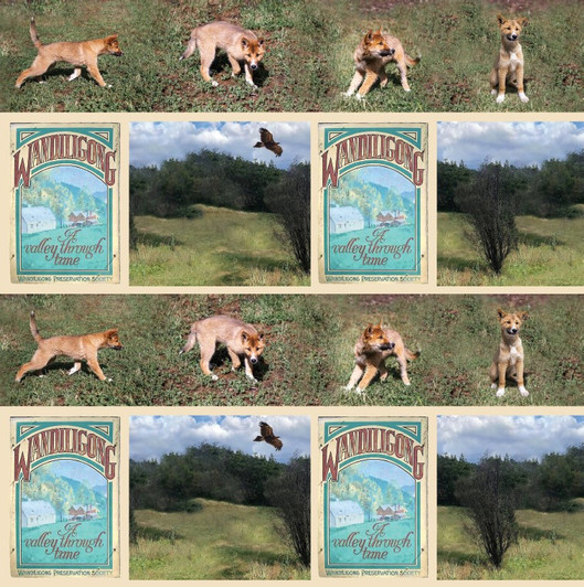 Wandi the Dingo Pup Arrival Stripe Cotton Quilting Fabric Wandi the Dingo Pup Arrival Stripe Cotton Quilting Fabric