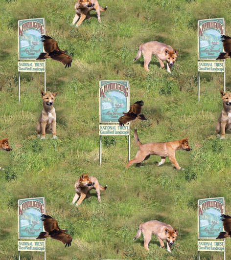 Wandi the Dingo Pup Arrival Allover Cotton Quilting Fabric Wandi the Dingo Pup Arrival Allover Cotton Quilting Fabric
