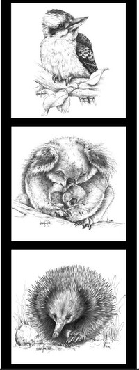 Australian Wildlife Art Kookaburra Koala Echidna DV3711 Cotton Quilting Fabric Small Panel Australian Wildlife Art Kookaburra Koala Echidna DV3711 Cotton Quilting Fabric Small Panel