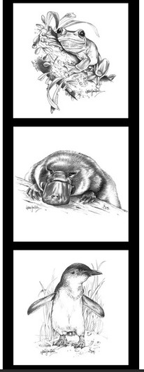 Australian Wildlife Art Frog Platypus Penguin DV3710 Cotton Quilting Fabric Small Panel