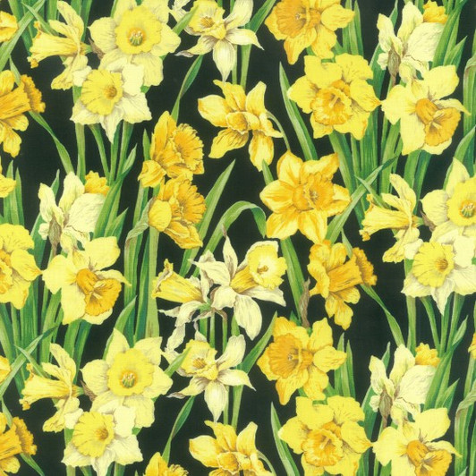 Daffodils Jonquils Yellow Black Background Cotton Quilting Fabric Daffodils Jonquils Yellow Black Background Cotton Quilting Fabric