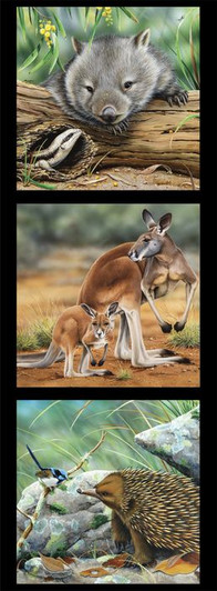 Australian Wildlife Art 2 Wombat Kangaroo Echidna Black Cotton Quilting Fabric Panel Australian Wildlife Art 2 Wombat Kangaroo Echidna Black Cotton Quilting Fabric Panel