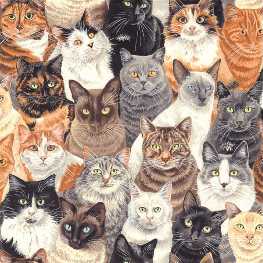 Cats Crowded Multi Cotton Quilting Fabric Cats Crowded Multi Cotton Quilting Fabric