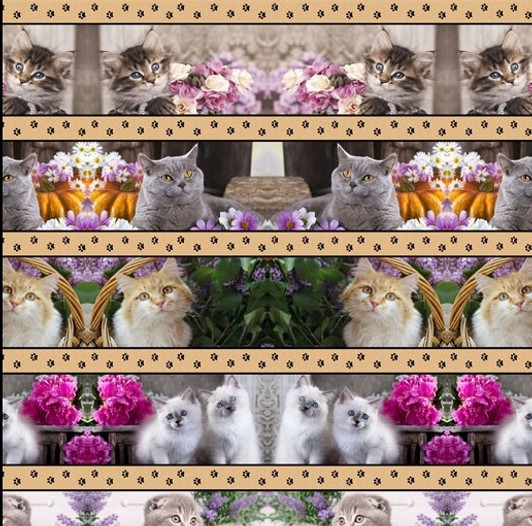 Cute Kittens Stripe 0123B Cotton Quilting Fabric Cute Kittens Stripe 0123B Cotton Quilting Fabric