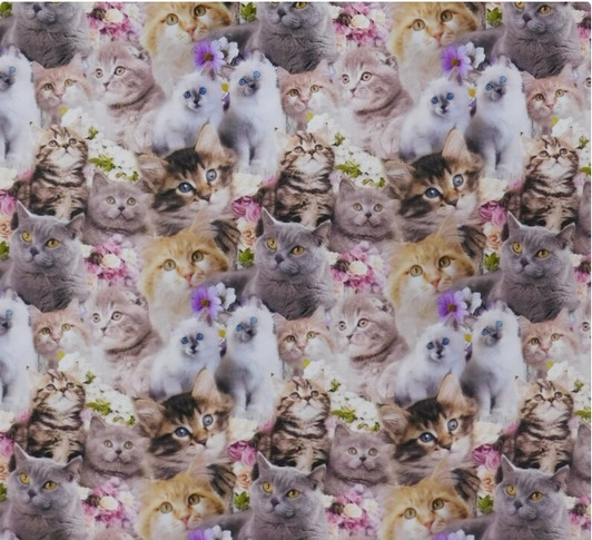 Cute Kittens Allover 0123D Cotton Quilting Fabric Cute Kittens Allover 0123D Cotton Quilting Fabric