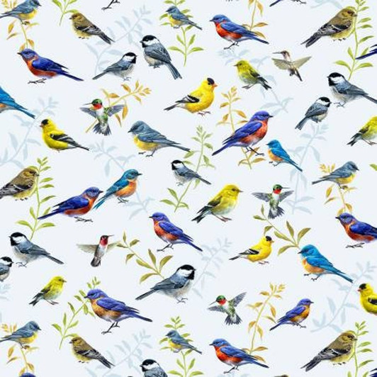 Song Birds Allover Multi SONB4329-MU Cotton Quilting Fabric Song Birds Allover Multi SONB4329-MU Cotton Quilting Fabric