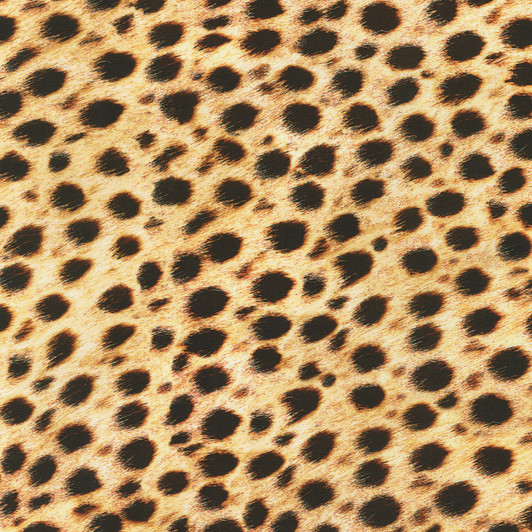 Animal Kingdom Wild Cheetah Skin Digital Print Cotton Quilting Fabric Animal Kingdom Wild Cheetah Skin Digital Print Cotton Quilting Fabric