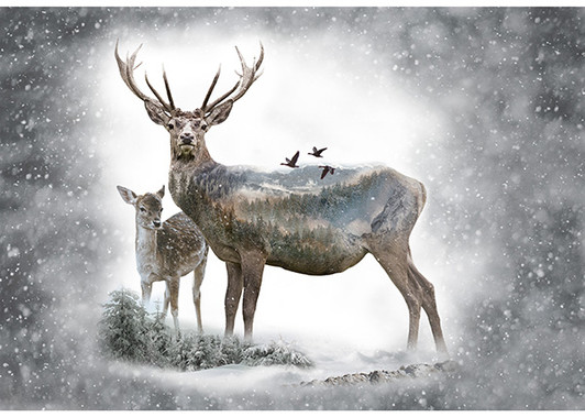Call of the Wild Dawn Deer Cotton Quilting Fabric Panel Call of the Wild Dawn Deer Cotton Quilting Fabric Panel