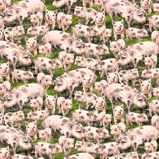 Farm Life Pigs Multi C8338-MLT Cotton Quilting Fabric Farm Life Pigs Multi C8338-MLT Cotton Quilting Fabric