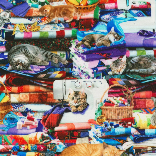 Cats Kittens Multi on Quilts Cotton Quilting Fabric Cats Kittens Multi on Quilts Cotton Quilting Fabric