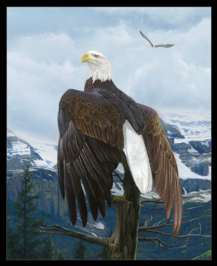 Wings of Pride Eagle Black Cotton Quilting Fabric Panel Wings of Pride Eagle Black Cotton Quilting Fabric Panel