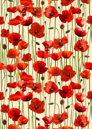Anzac Day Remembering Day Red Poppies Cream 108" Wide Backing Cotton Quilting Fabric Anzac Day Remembering Day Red Poppies Cream 108" Wide Backing Cotton Quilting Fabric