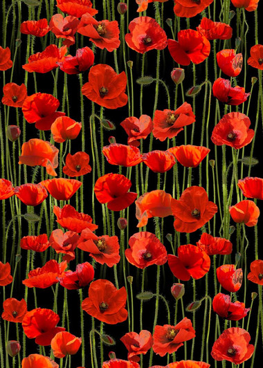 Anzac Day Remembering Day Red Poppies Black 108" Wide Backing Cotton Quilting Fabric Anzac Day Remembering Day Red Poppies Black 108" Wide Backing Cotton Quilting Fabric