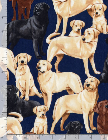Puppy Love Labrador Dogs Navy Background Cotton Quilting Fabric