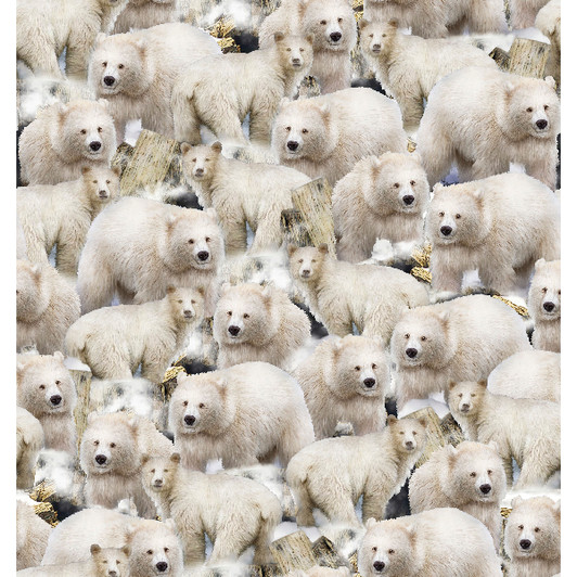 Arctic Dreams Polar Bears Packed 28831-E Cotton Quilting Fabric Arctic Dreams Polar Bears Packed 28831-E Cotton Quilting Fabric