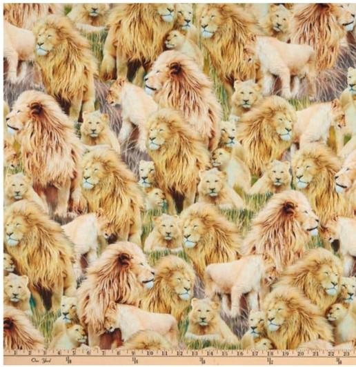 Lions Pride Lions Allover 28913-S Cotton Quilting Fabric Lions Pride Lions Allover 28913-S Cotton Quilting Fabric