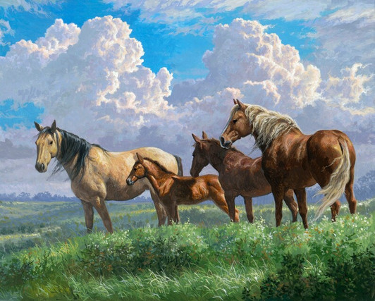 Summer Breeze Horses Roaming Free ML32111C1 Cotton Quilting Fabric Panel