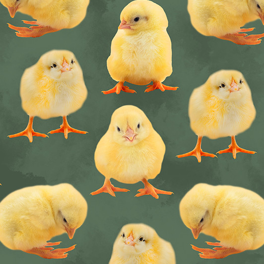 Rule The Roost Chickens Dainty Chicks Green Background 2105G Cotton Quilting Fabric Rule The Roost Chickens Dainty Chicks Green Background 2105G Cotton Quilting Fabric