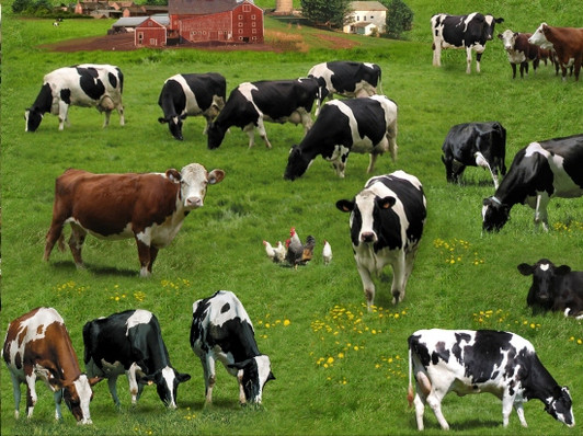 Farm Animals Cows Chickens Green 337E-GRN Cotton Quilting Fabric Farm Animals Cows Chickens Green 337E-GRN Cotton Quilting Fabric