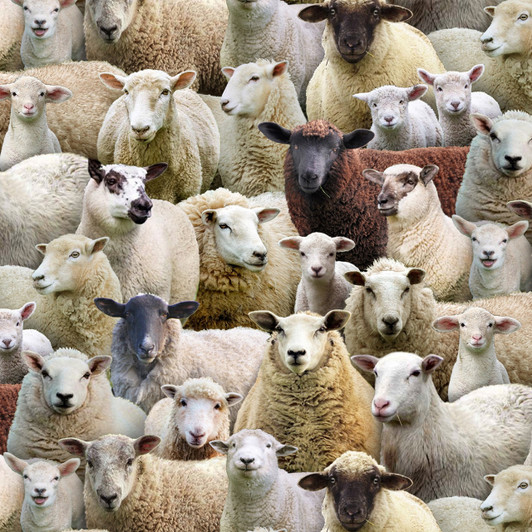 Farm Animals Sheep Multi Packed Cotton Quilting Fabric Farm Animals Sheep Multi Packed Cotton Quilting Fabric