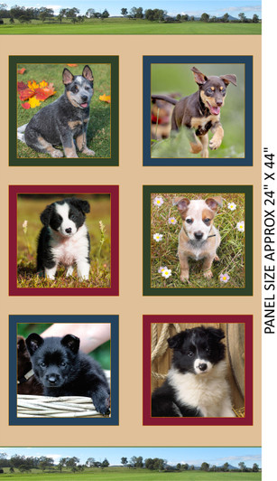 Merino Muster II Working Farm Dog Puppies 3094B Cotton Quilting Fabric Panel Merino Muster II Working Farm Dog Puppies 3094B Cotton Quilting Fabric Panel
