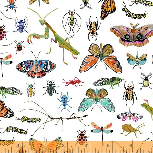 Deep Forest Insects Butterflies Beetles White 52992D-2 Cotton Quilting Fabric Deep Forest Insects Butterflies Beetles White 52992D-2 Cotton Quilting Fabric
