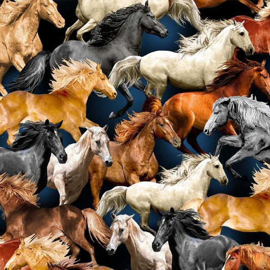 Big Sky Country Horses Freedom Night DCX11300-NITE Cotton Quilting Fabric Big Sky Country Horses Freedom Night DCX11300-NITE Cotton Quilting Fabric