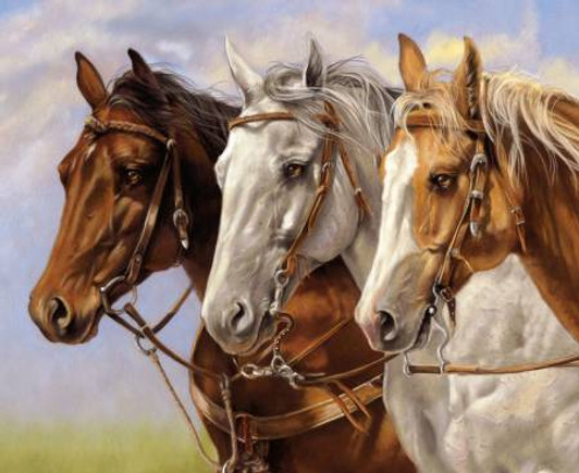 Ride the Range Horses Three Of A Kind Cotton Quilting Fabric Panel Ride the Range Horses Three Of A Kind Cotton Quilting Fabric Panel