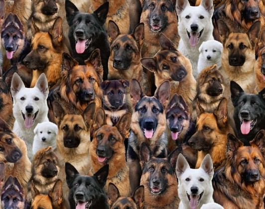 Best Friends German Shepherd Dogs 665E-MULTI Cotton Quilting Fabric