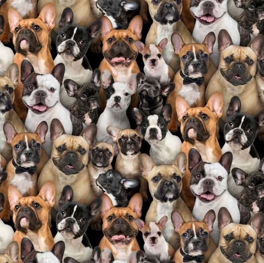 Best Friends Dogs French Bulldogs 687E-MULTI Cotton Quilting Fabric Best Friends Dogs French Bulldogs 687E-MULTI Cotton Quilting Fabric