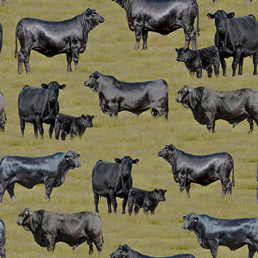 Merino Muster II Cows Angus Grass Background 3094Q Cotton Quilting Fabric Merino Muster II Cows Angus Grass Background 3094Q Cotton Quilting Fabric