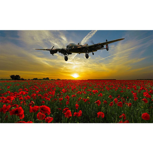 Anzac Field of the Fallen Cotton Quilting Fabric Panel Anzac Field of the Fallen Cotton Quilting Fabric Panel